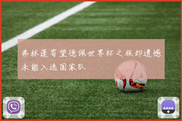 弗林蓬寄望德佩世界杯之旅却遗憾未能入选国家队