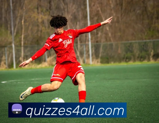 平台使命图